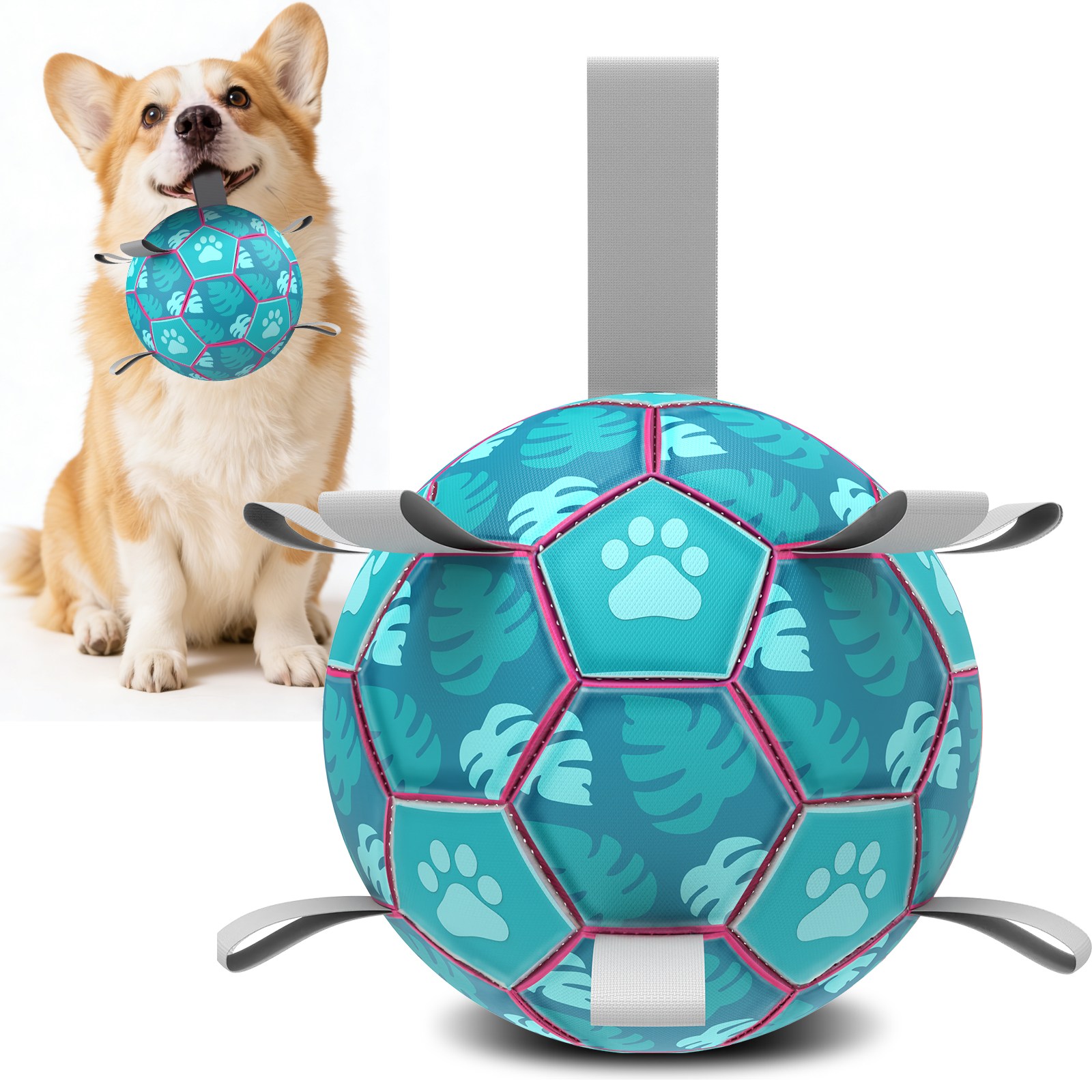 Qdan 강아지장난감, 강아지공, 개 축구공 끈 달린, 펌프 포함 39,990원