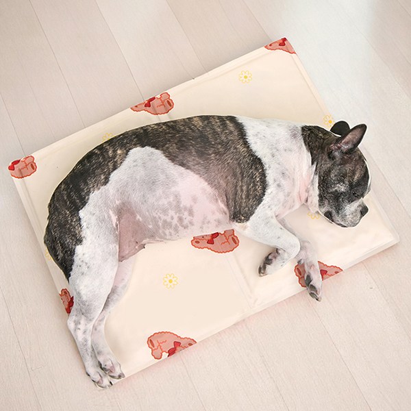 올치 반려동물 방수 아이스젤 베어 쿨매트 MT6842 11,000원