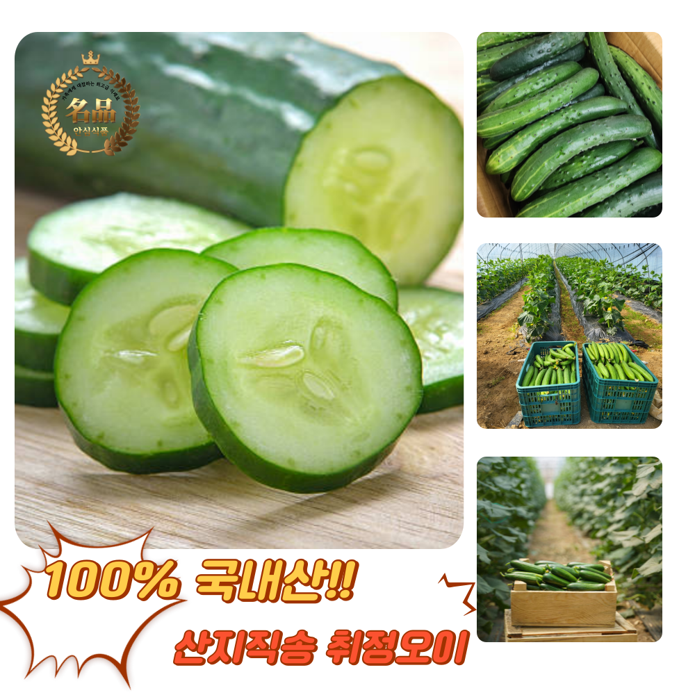 [굿피플] 못난이 취청오이 국내산취청오이 못난이오이 오이 유기농오이 백오이 가시오이, 1박스, 오이 취청 1kg(못난이) 11,460원