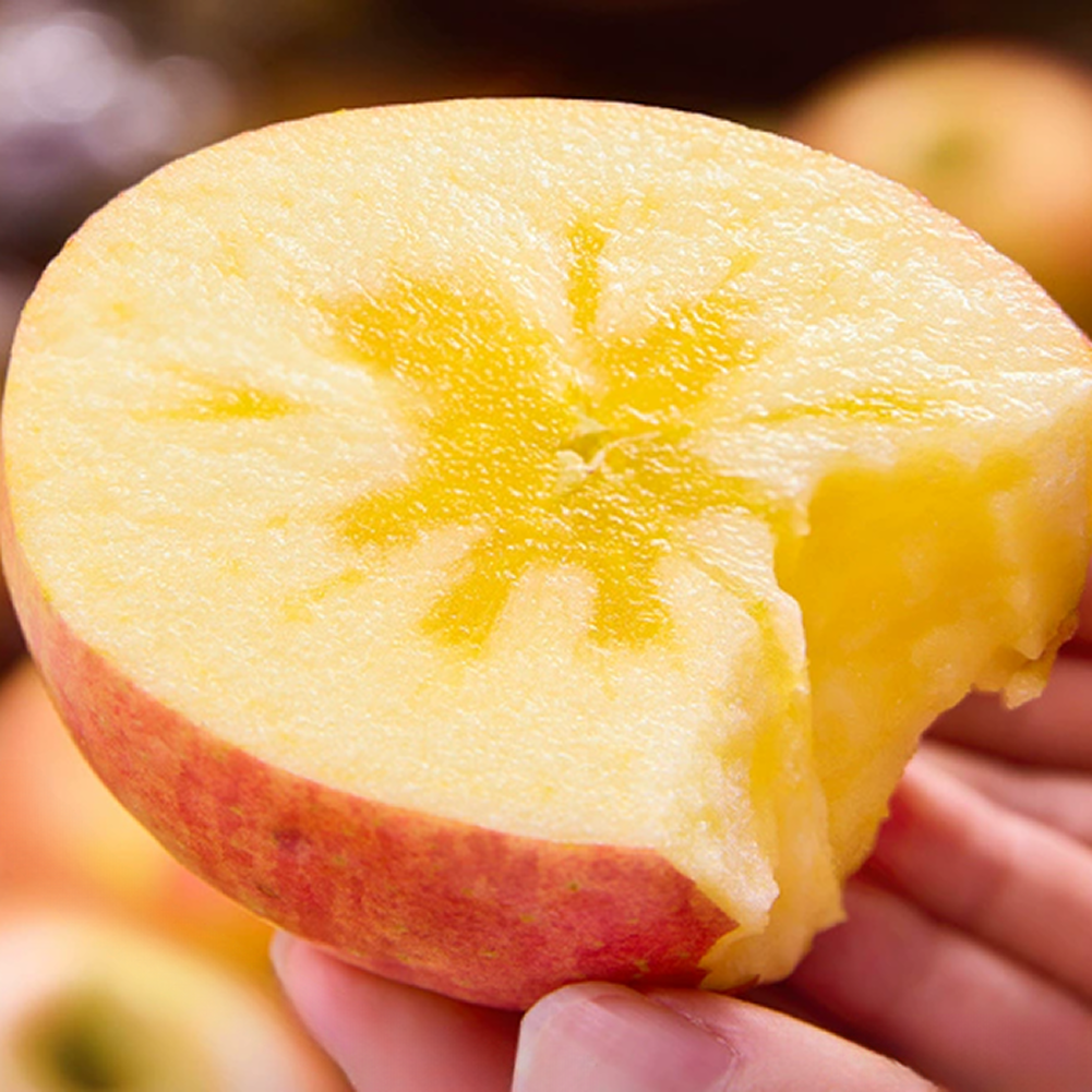 [딱3일가정용특가] 하루50박스 벌꿀과즙 고당도 부사사과, 1박스, 5kg 21,500원