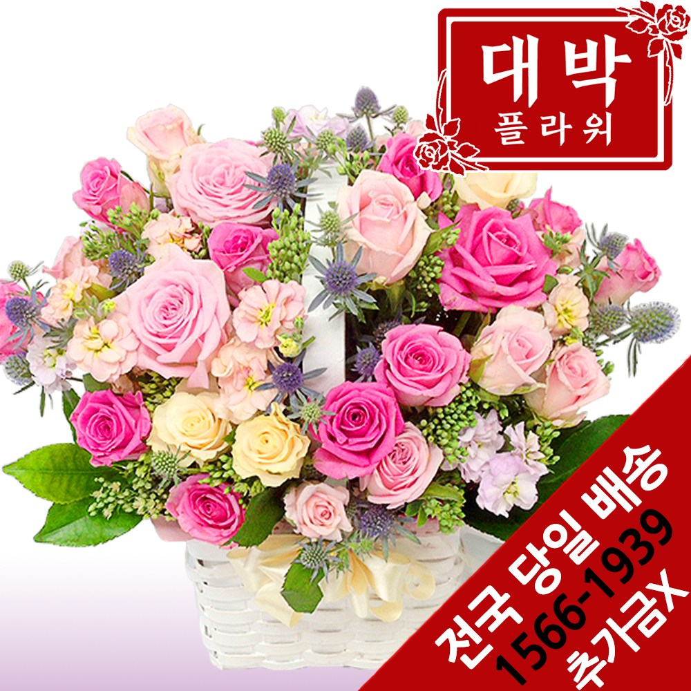 대박플라워 핑크로즈 꽃바구니 생일선물 기념일 출산꽃선물 병문안 꽃배달 76,900원