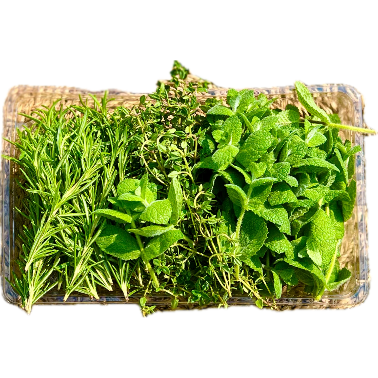 유기농 카페용 허브생잎모둠 100g, 1세트, 80g 21,500원