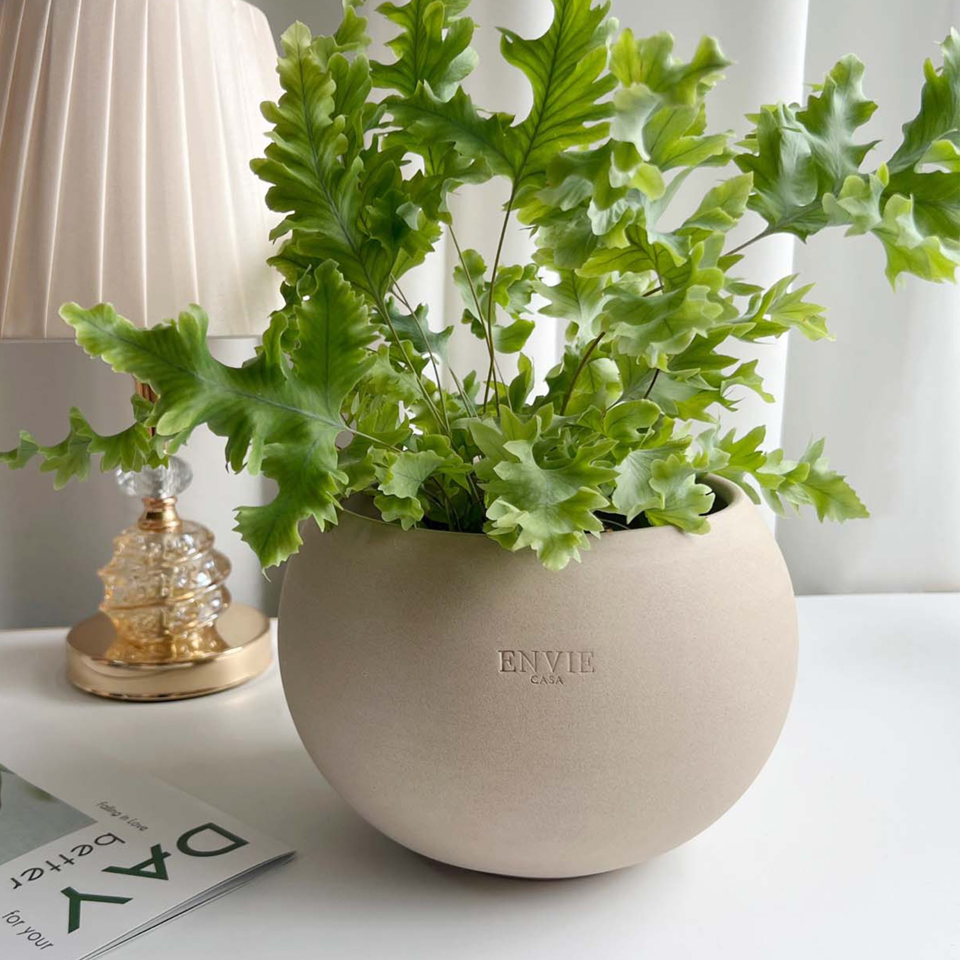 앙비까사 진주토분 16,000원