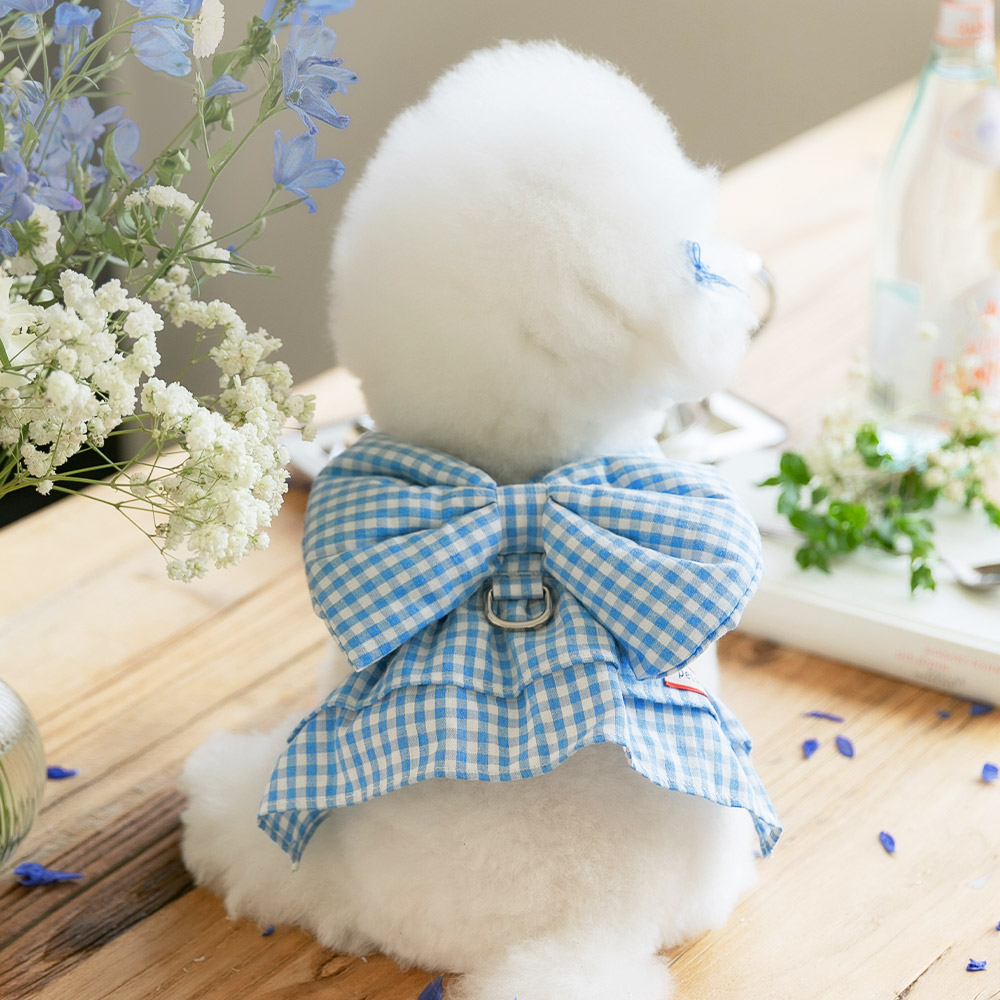 펫츠랜드 강아지 리보네 하네스 21,900원