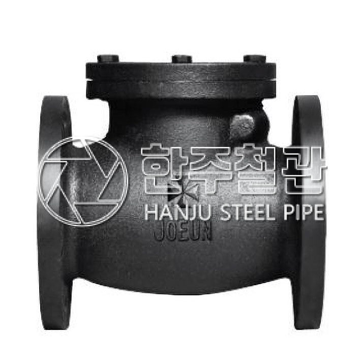 조은원대밸브 주철 10K 플랜지형 스윙체크밸브 BS 40A 배관자재 42,690원