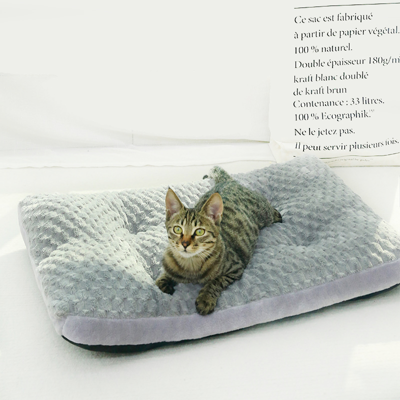 허니버블 반려동물 딥슬립 꿀잠 사각 매트 쿠션 10,900원