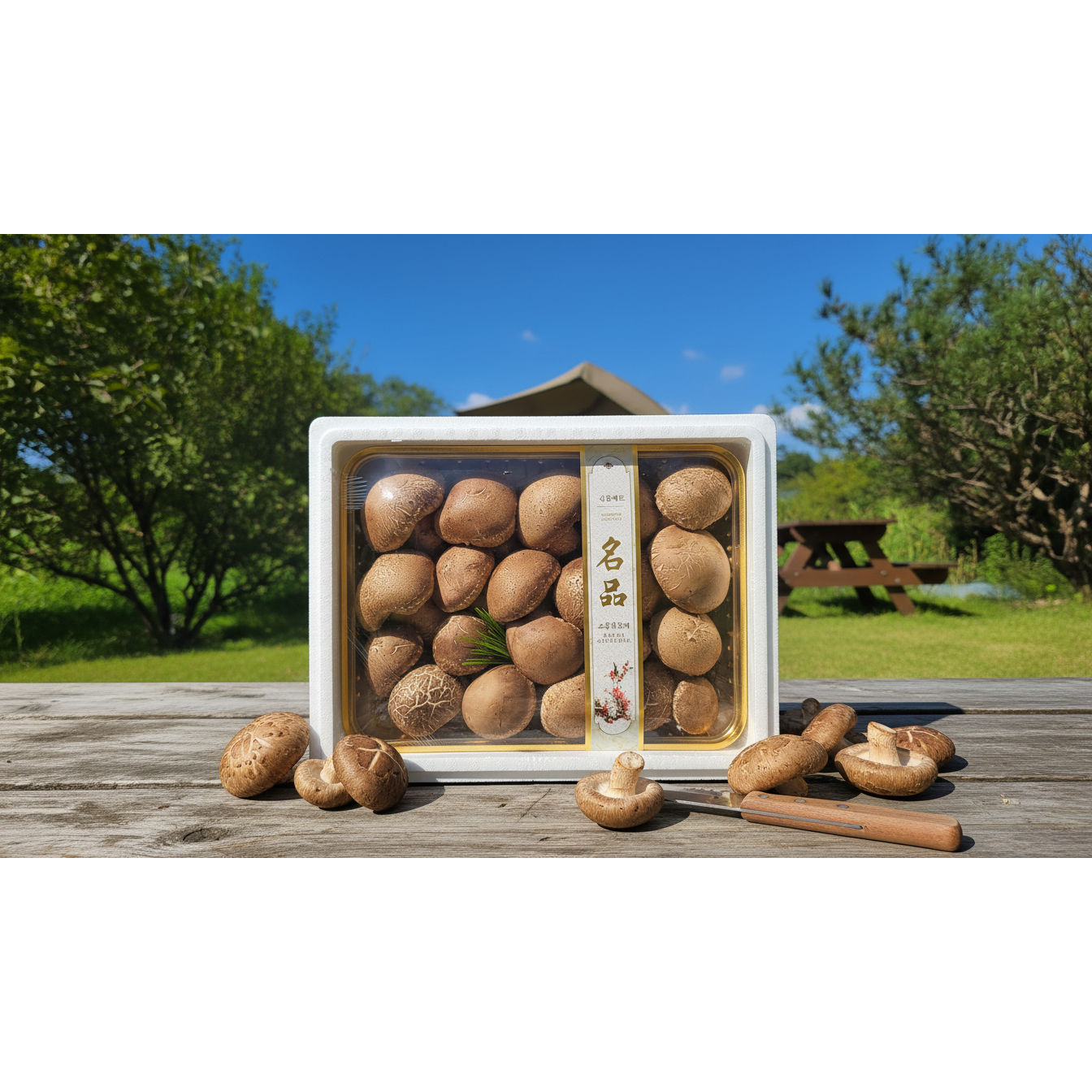 [고품질선별] 향과 식감이 살아있는 송화버섯 선물세트, 1개, 송화버섯 프리미엄 선물용 특 1kg 60,670원