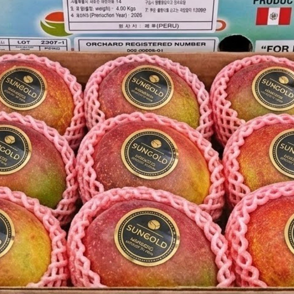 [한정특가] 페루산 프리미엄 애플망고 4kg 8과 고당도 항공직송, 1세트, 페루 애플망고 4kg 7~8과 43,900원