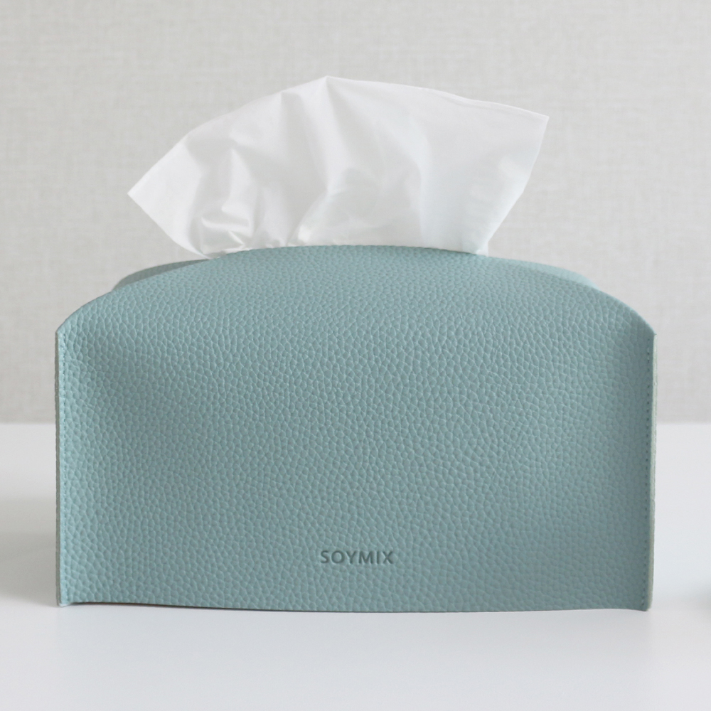소이믹스 스킨레더 티슈 케이스, 블루 5,000원