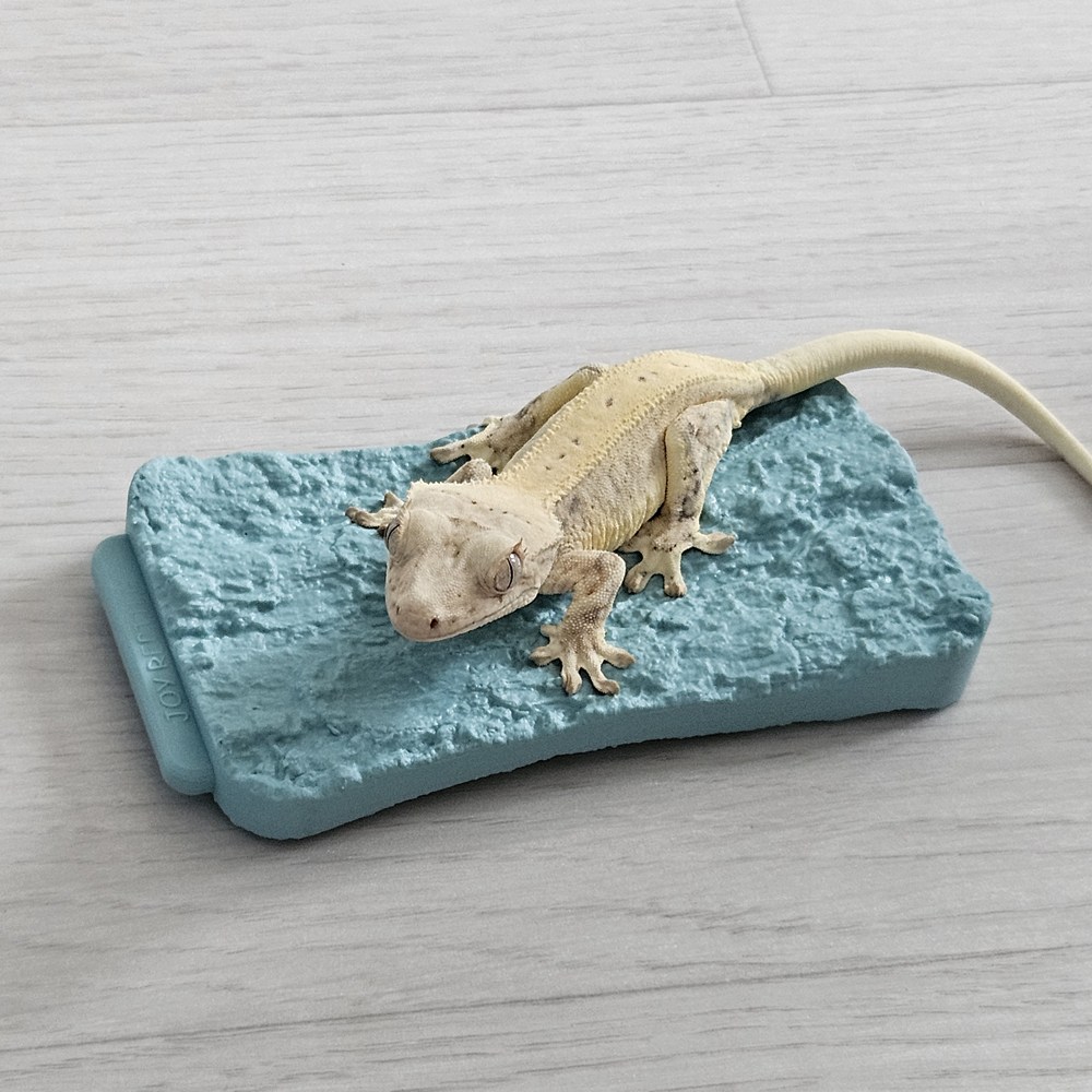 크레스티드 게코 인조 코르크 탈피보드 7,100원