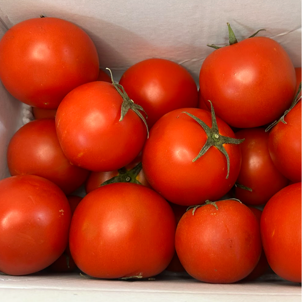 [타임특가] 완숙토마토 유럽종 못난이 쥬스용 19,450원