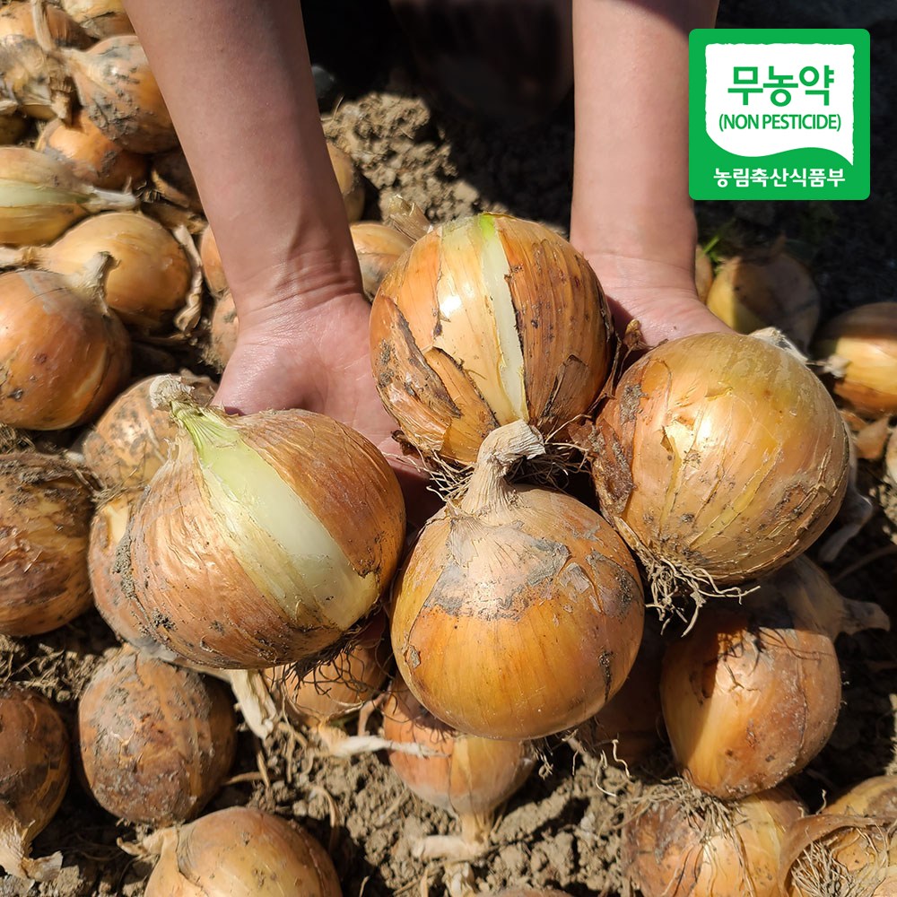 친환경 마음밭 국내산 유기농 무농약 이유식 흰양파 3kg 5kg 10kg 33,900원