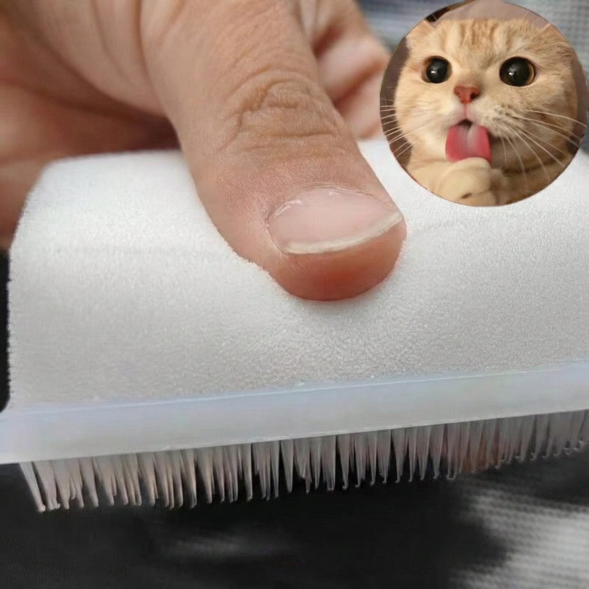 고양이 반려동물 편안한 구루밍 브러쉬, 1개, 화이트 10,500원