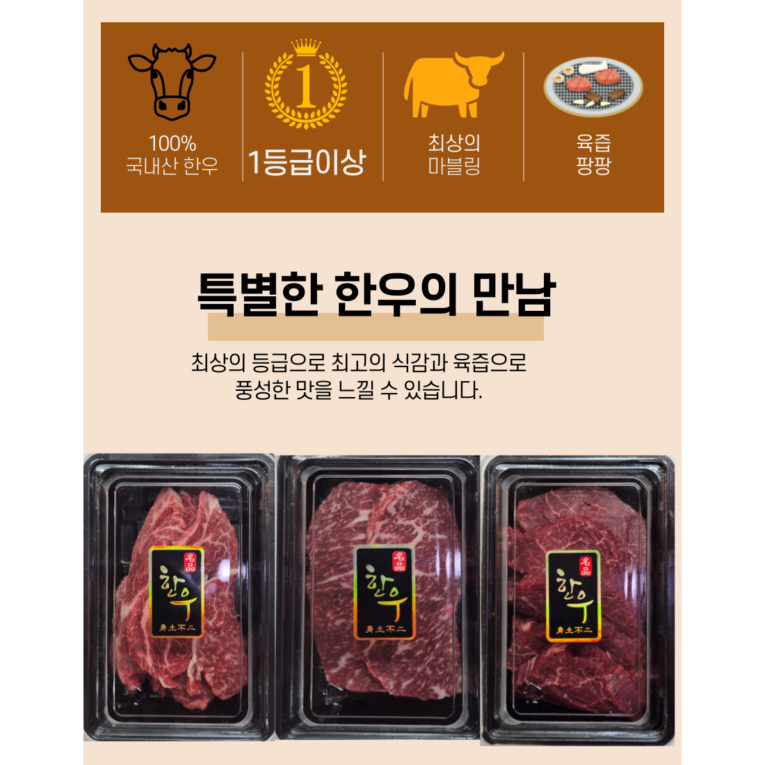 [고야청마켓] 즐거운 설 명절 한우 암소 1등급 이상 꽃등심 선물세트 99,000원