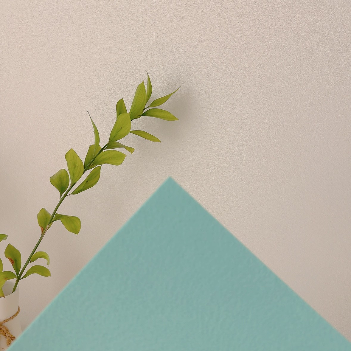 야야랜드 도마뱀 펠트지 바닥재 2mm 사육장 파충류 크레스티드게코 2,000원