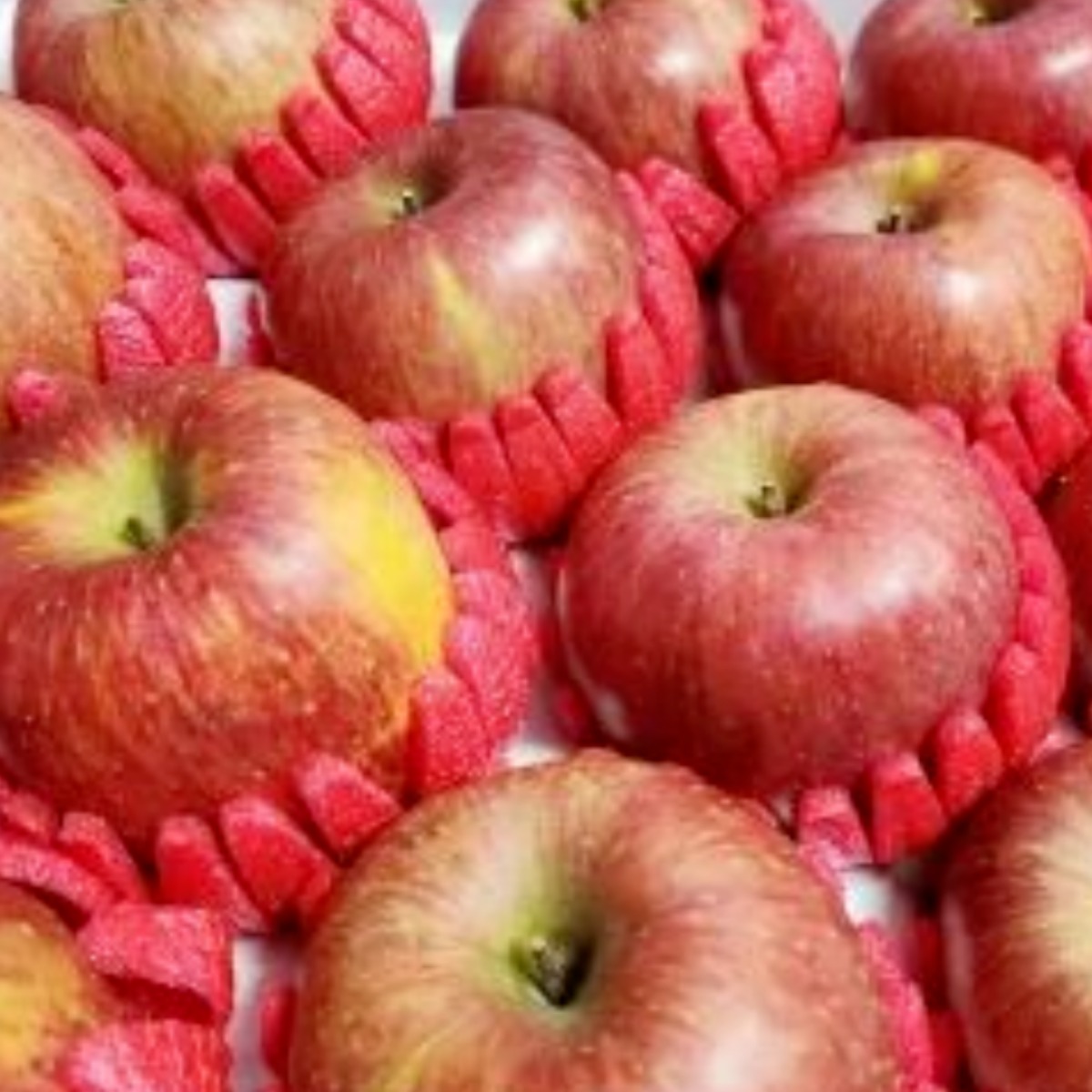 명품 사과 경상북도 얼음골 고당도 선물용 정품 부사 사과 (정품), 1개, 5kg (중과) (정품) 66,300원