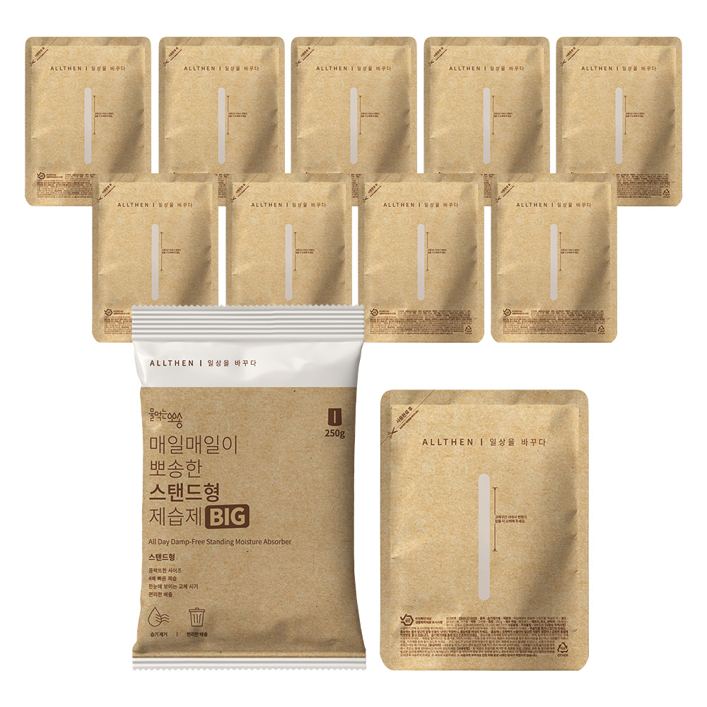 물먹는뽀송 매일매일이 뽀송한 스탠드형 제습제 빅 본품, 250g, 10개 15,400원