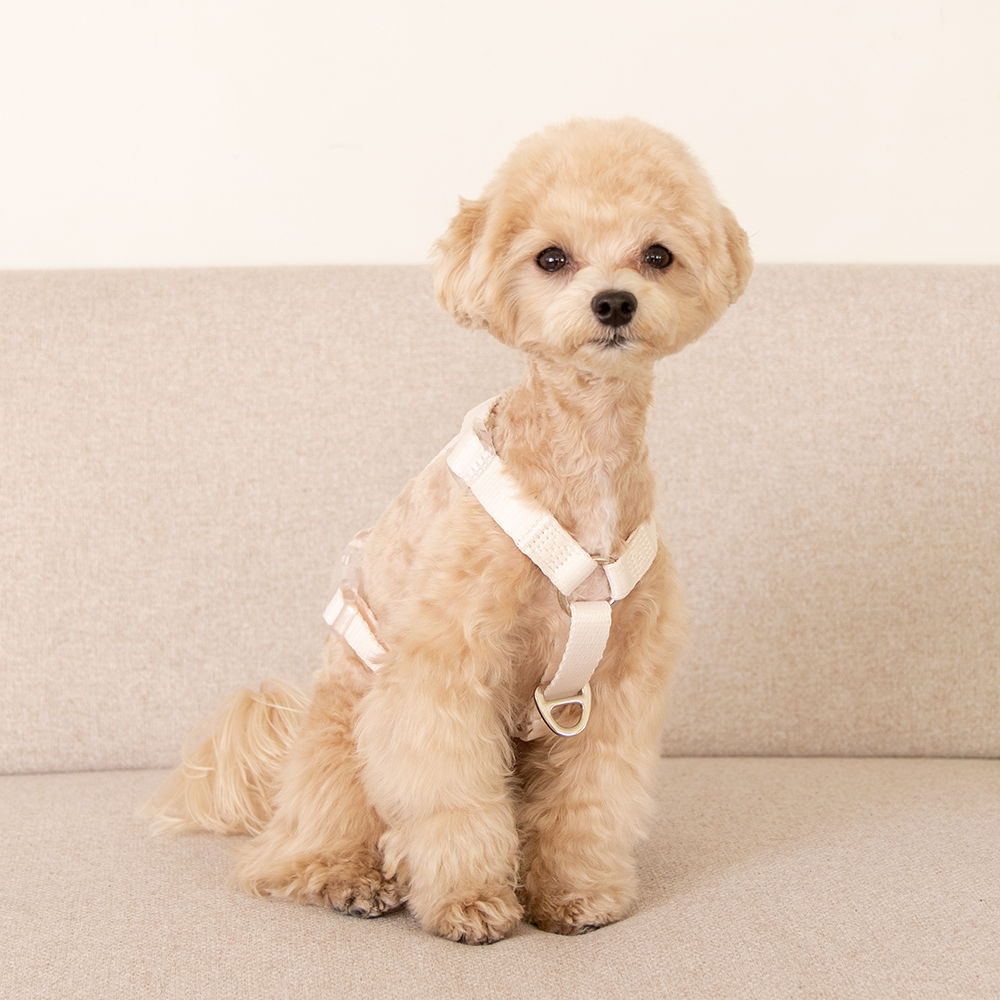 요기쏘 강아지 마이독 앞섬방지 H형 하네스 15,400원