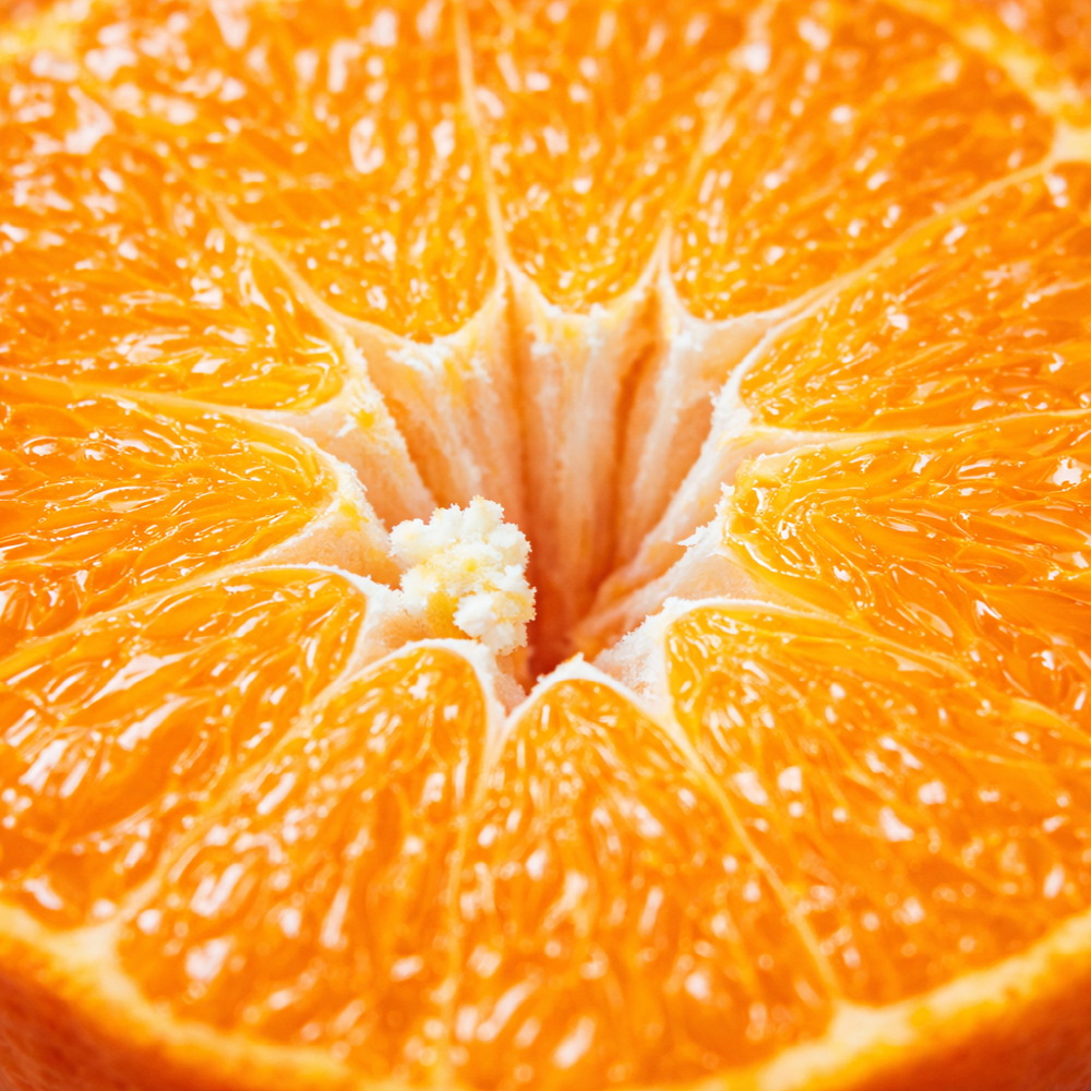 [오늘의추천] 새콤달콤 제주직송 카라향 감귤, 1박스, 10kg 60,400원