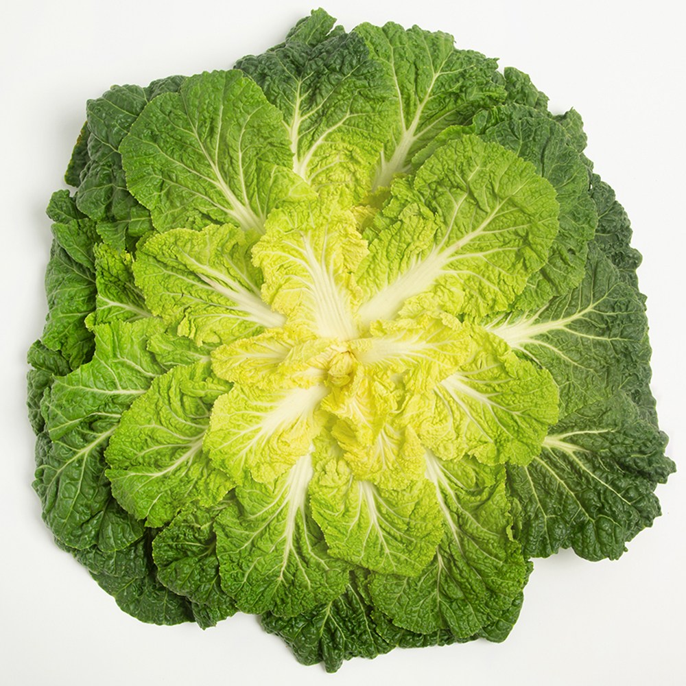 국내산 봄동 제철 쌈채소 샤브샤브 가정용 업소용 벌크 [BZN], 10kg, 1박스 33,900원