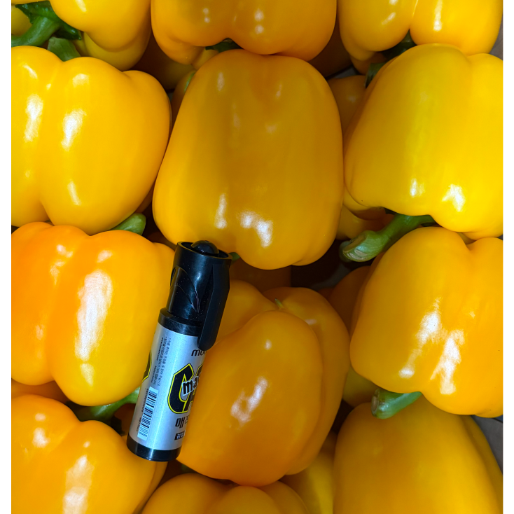 은혜상회 국내산 파프리카 노랑 유기농 마트 샐러드용 가락시장 도매납품 가정용, 1개, 5kg 1박스(24개내외) 58,000원