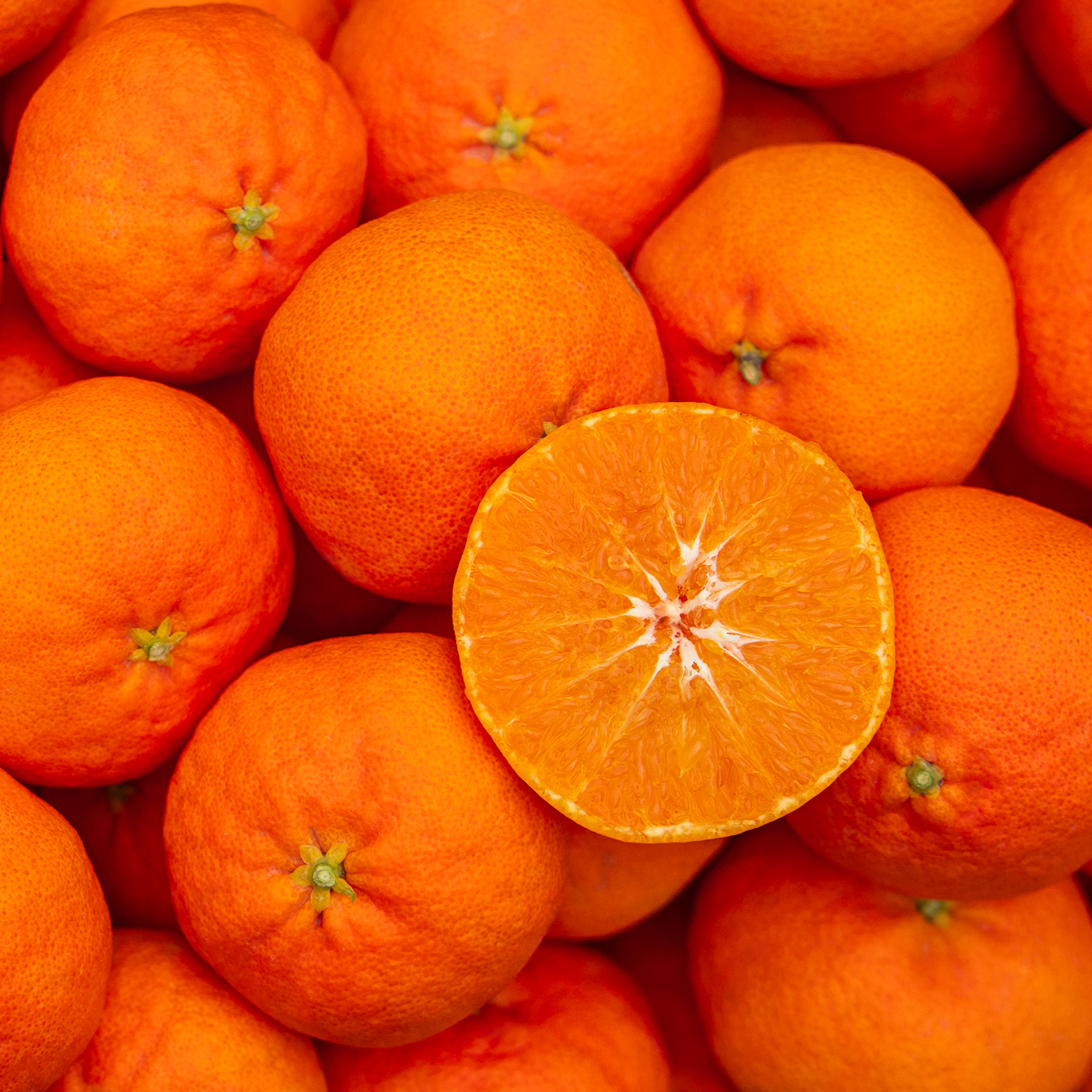 최고 15브릭스 제주 레드향 산지직송, 1박스, 혼합과 10kg 119,000원