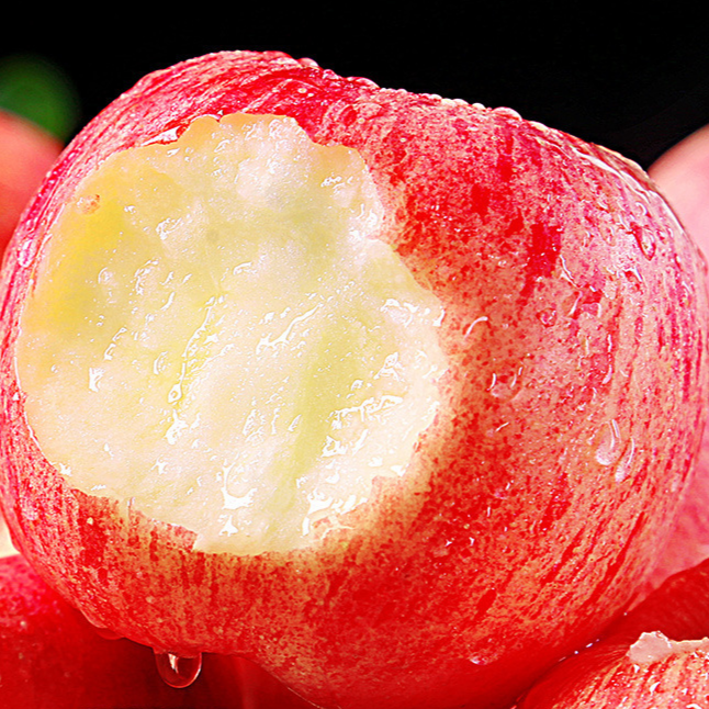 [명절대비1주특가] 청송사과농장 고당도부사 26년햇사과 꿀사과 10,690원