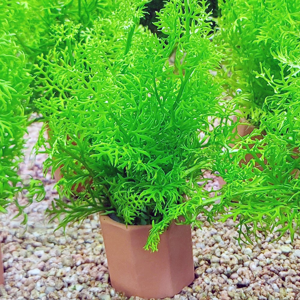 아메리칸 워터스프라이트 포트수초 3,700원