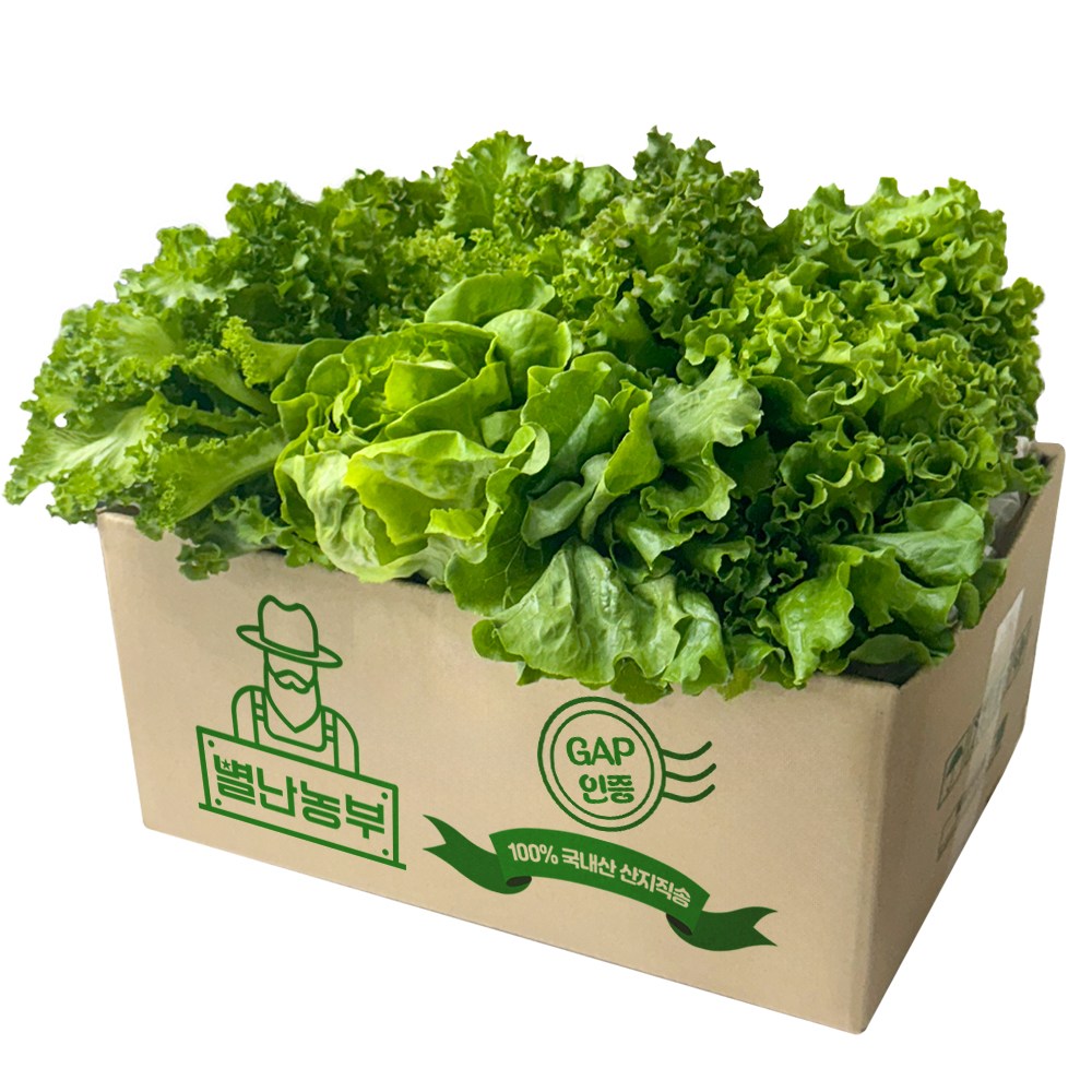 별난농부 산지직송 신선한 쌈채소, 1개, 1kg 24,500원