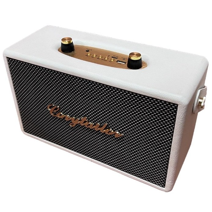 코지테일러 CT-20W TWS EQ모드 블루투스 스피커 B140, 화이트 65,900원