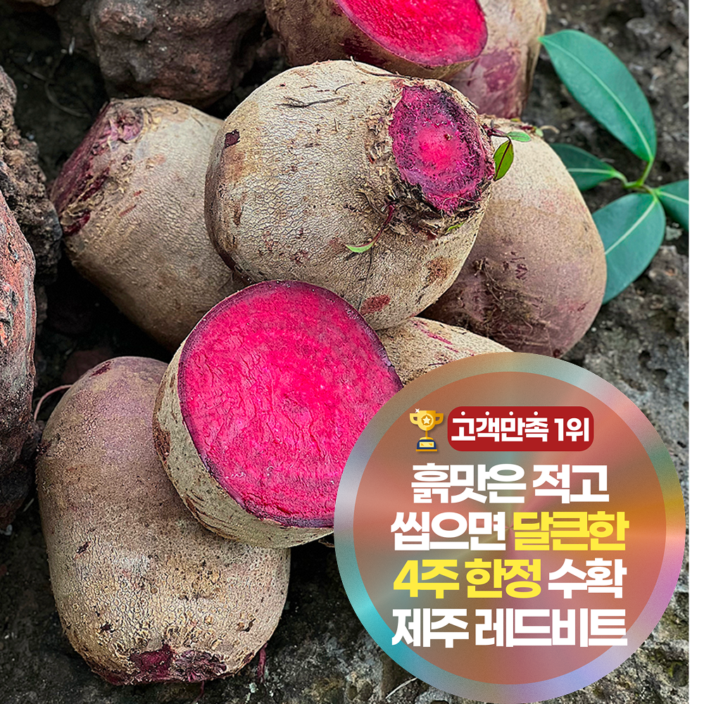 삼시세끼연구소 4주한정 흙맛적고 달큰한 햇 제주 비트 햇비트 19,890원