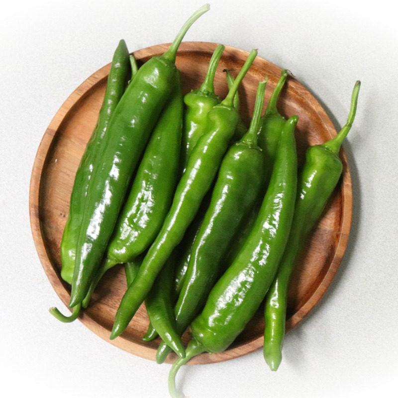 농산물마루 국내산 오이고추 9,900원