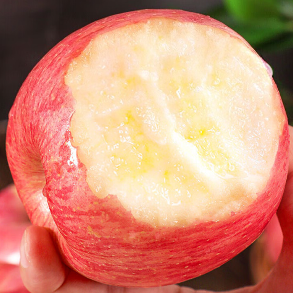 [딱5일초특가] 하루100박스 꿀맛부사 명품당도 꿀사과 22,800원