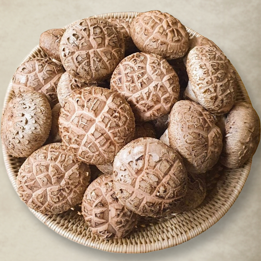 국내산 선별 표고버섯, 1개, 1kg(고급형 상품) 23,640원