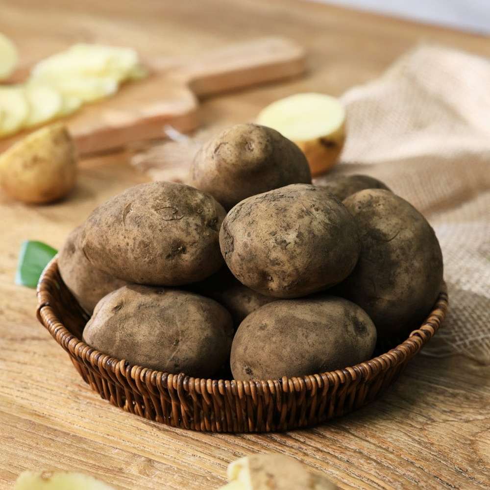 국내산 26년 햇 흙감자 농장직송 13,200원