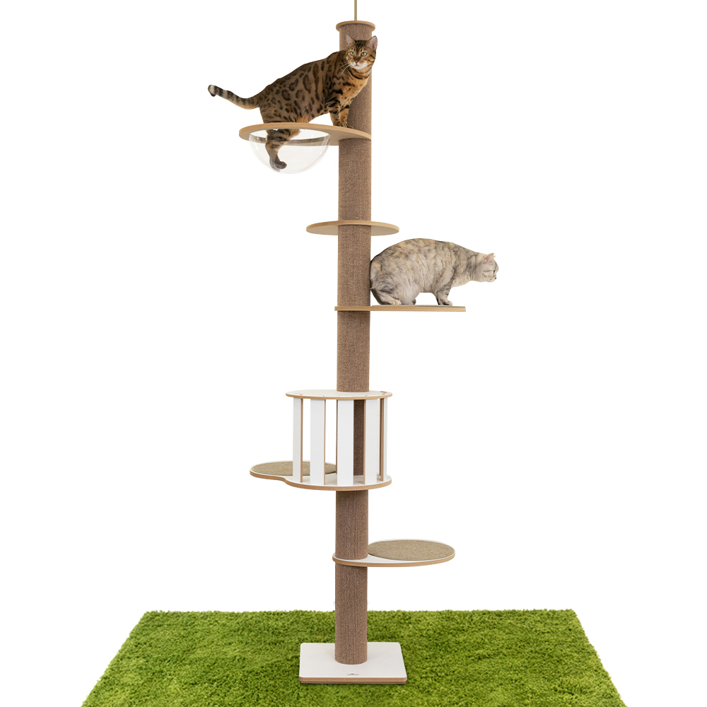 피카노리 대형 캣폴 119,000원