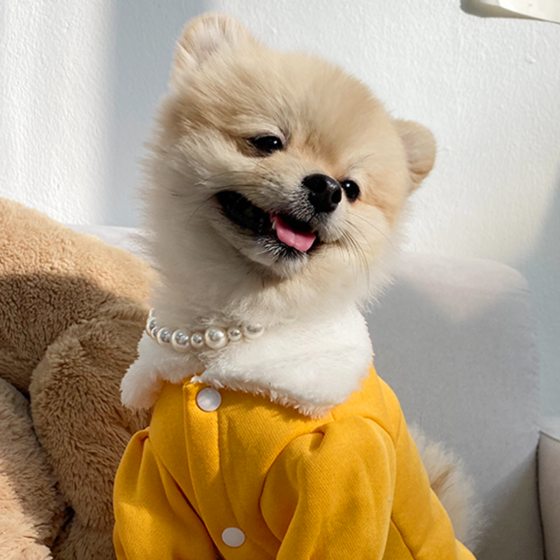 데댕 강아지 고양이 수제 진주목걸이 11,800원