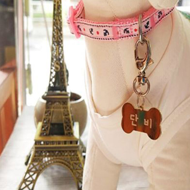 아미펫 강아지 고양이 고리형 이름표 인식표 D형고리 실버 3,900원