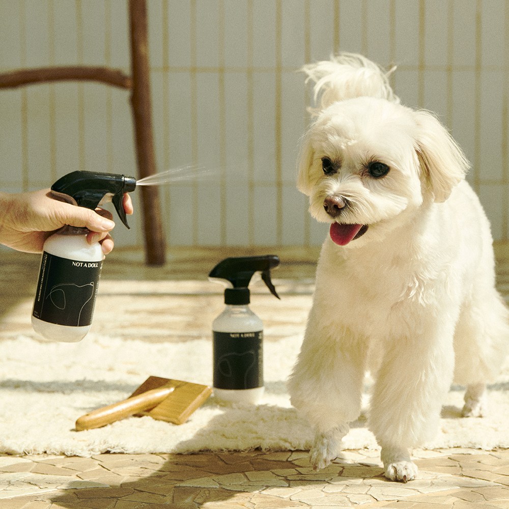 낫어돌 강아지 크림미스트 저자극 아토피 발바닥 진정보습 비듬 컨디셔닝 자외선 워터리스, 1개, 300ml 28,000원