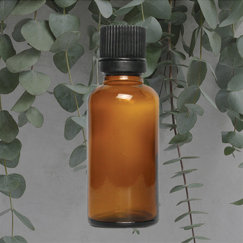유칼립투스 Eucalyptus E.O /에센셜오일, [ 500ml ] 75,000원