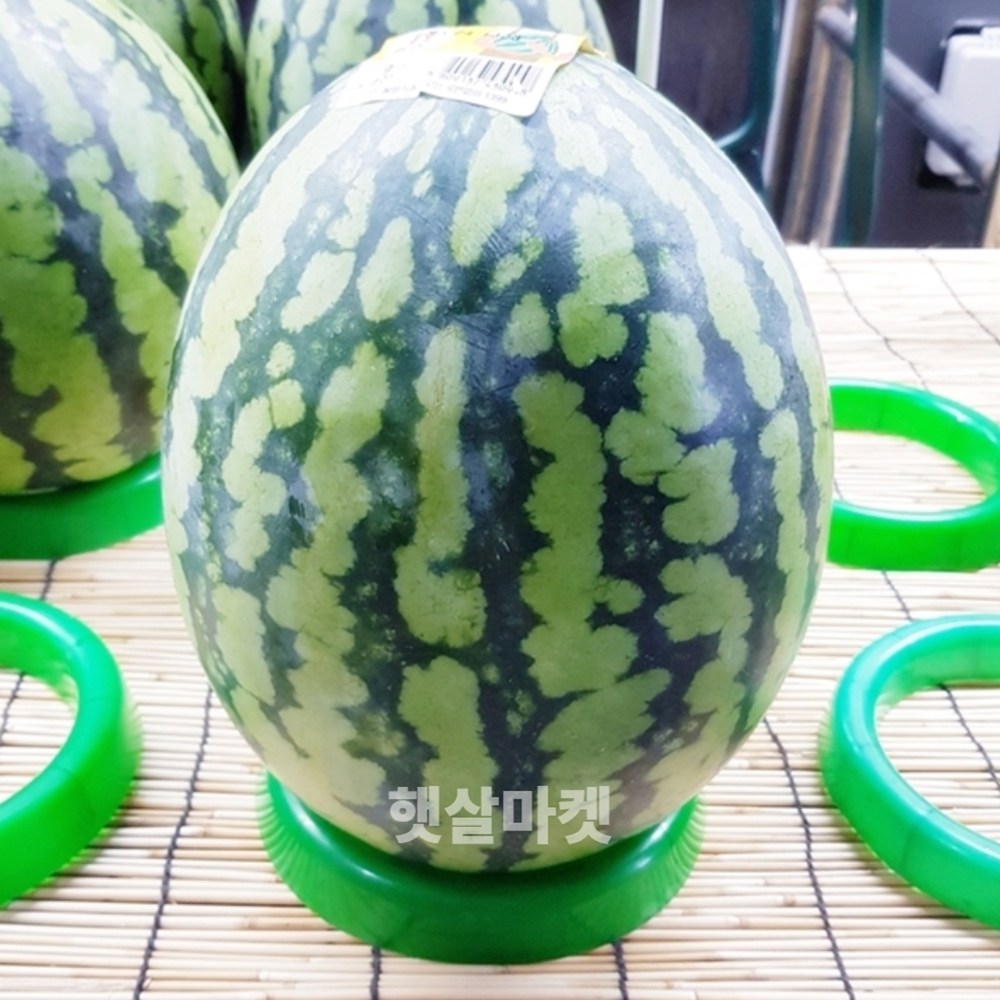 햇살마켓 수박 받침대 (수박링 수박받침링 대형 원형링 프라스틱 소농자재 화분받침대 과일받침대) 9,900원
