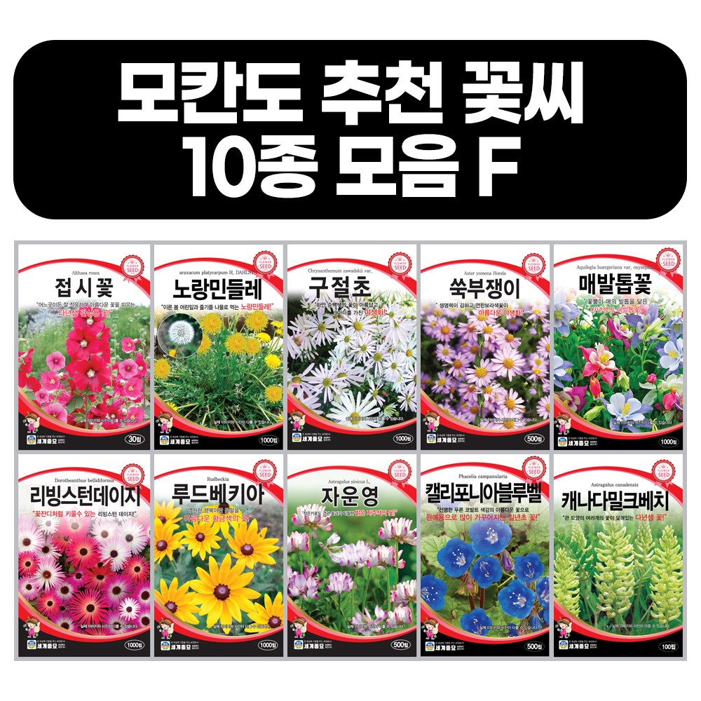 모듬 꽃씨앗 10종 F세트 봄 가을 사계절 파종 캐나다밀크베치,캘리포니아블루벨,자운영,루드베키아,리빙스턴데이지,매발톱꽃,쑥부쟁이,구절초,민들레,접시꽃 꽃씨 모음 20,000원
