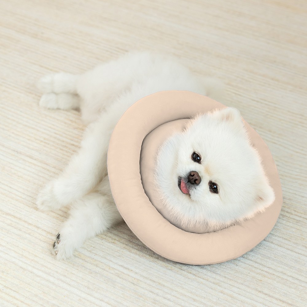 레토 강아지 고양이 반려동물 넥카라 방수 초경량 대형견 소형견 LNC-C01O 9,900원