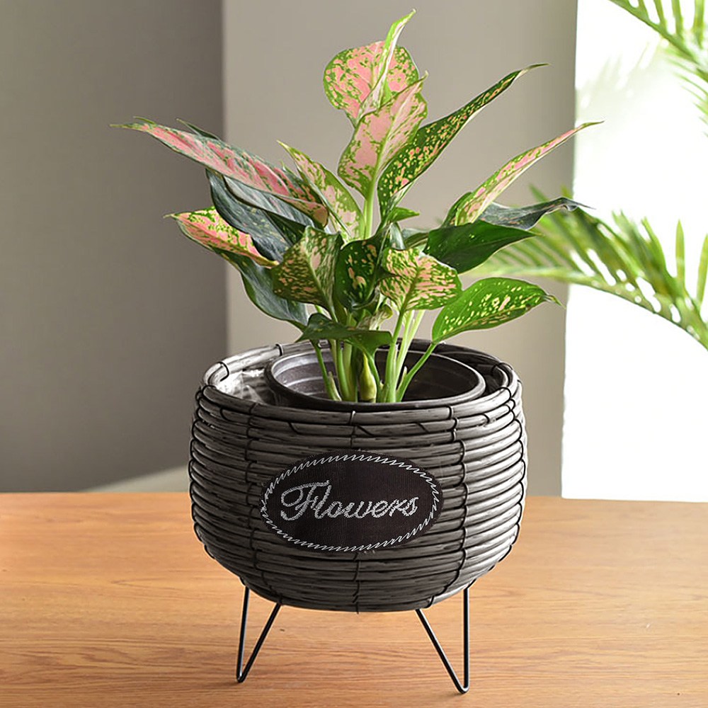 힐링하우스 스탠드 화분바구니 그레이 미니 화분커버 11,600원