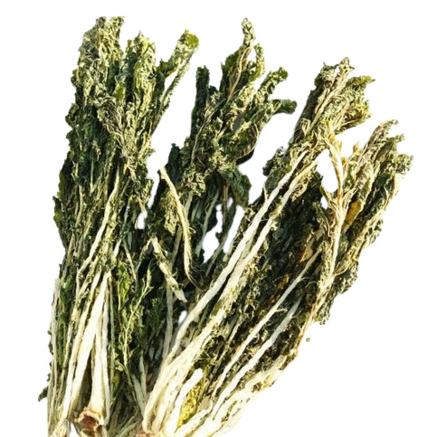 나물투데이 국내산 건시래기, 100g, 1개 4,890원