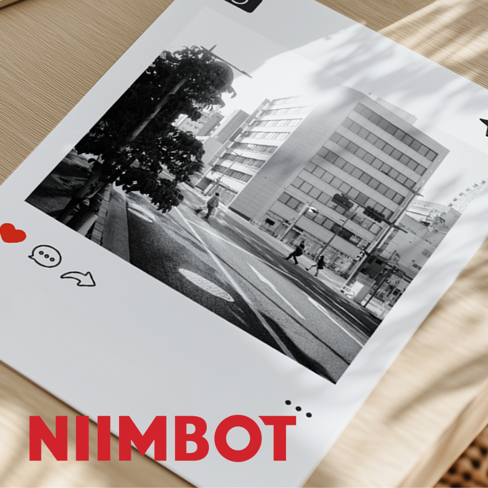 Niimbot B21 Pro  B2 Pro B1 Pro 라벨프린터 전용 라벨지 (포토인화지/듀얼컬러 라벨지) 8,000원