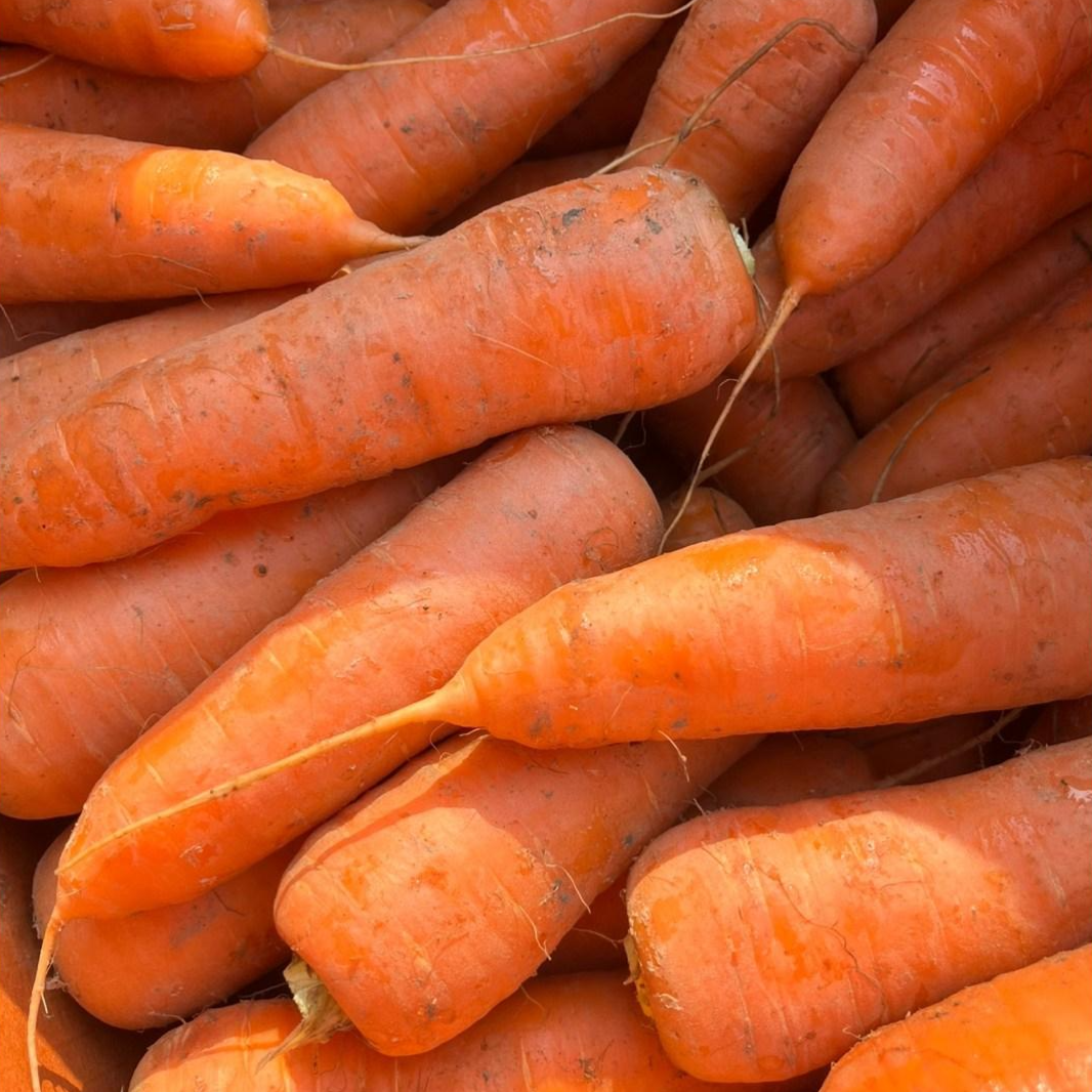 두리네 국내산 햇당근 흙당근 15,470원