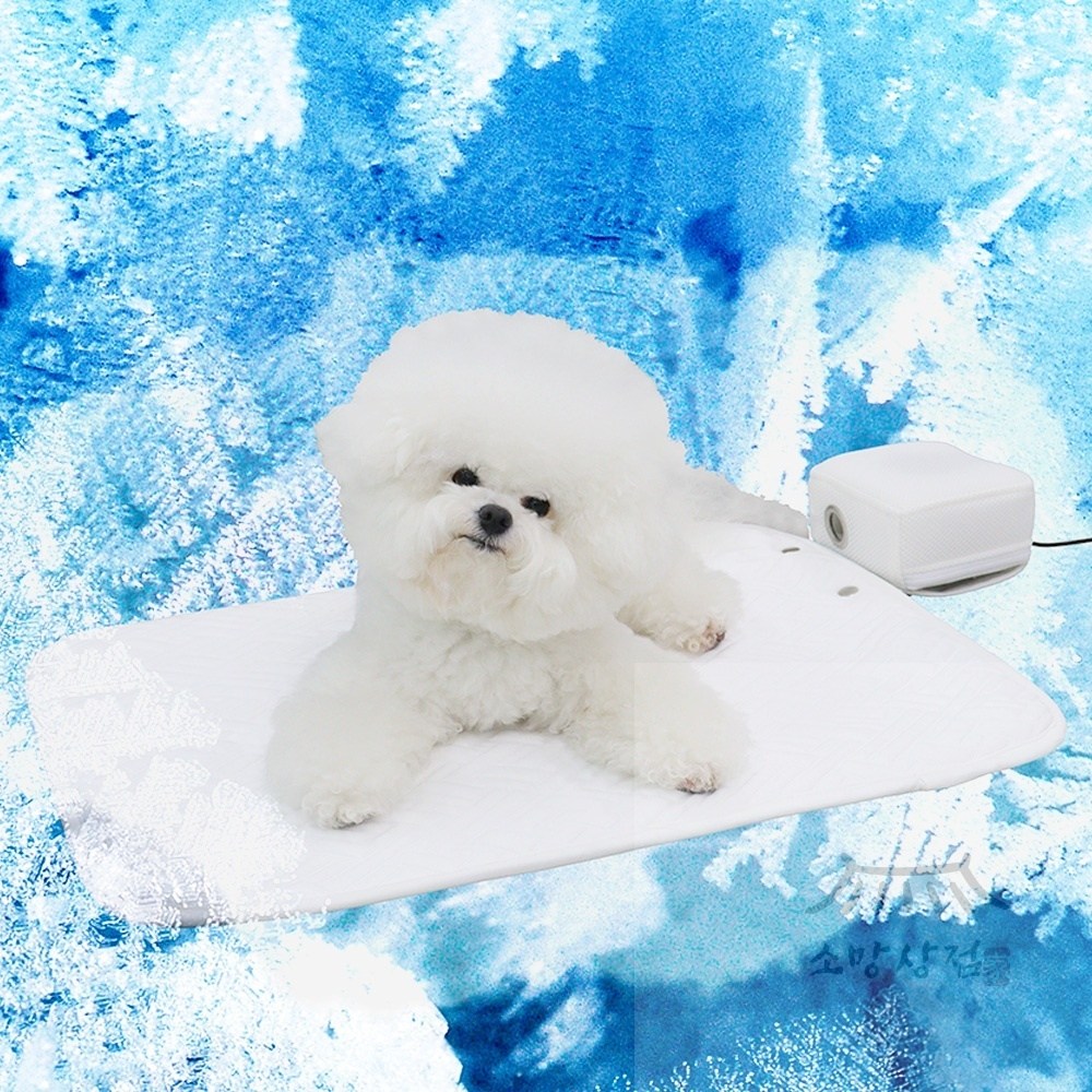 초코펫 강아지 쿨매트 방석 듀라론 아이스 쿨매트 에어쿨러포함 일반 38,800원