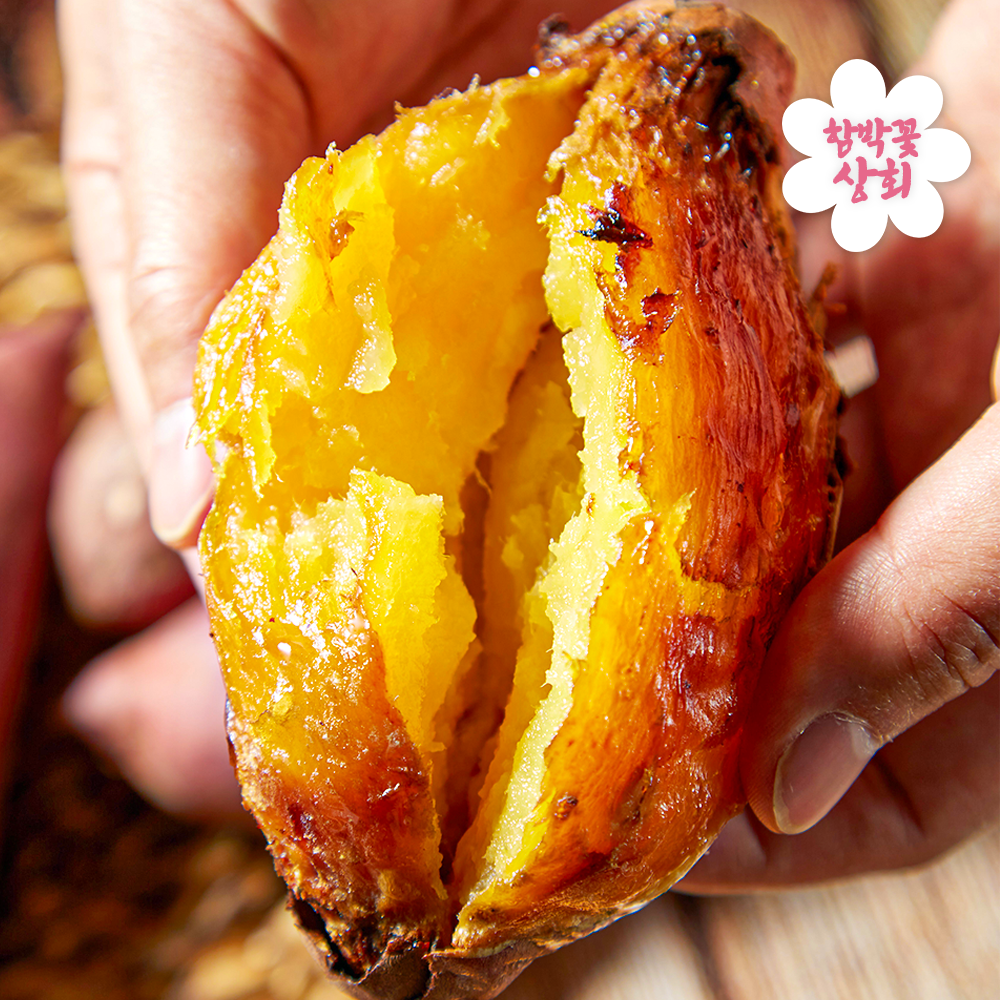 해풍맞은 해남 세척 무농약 흙당 꿀고구마 17,600원