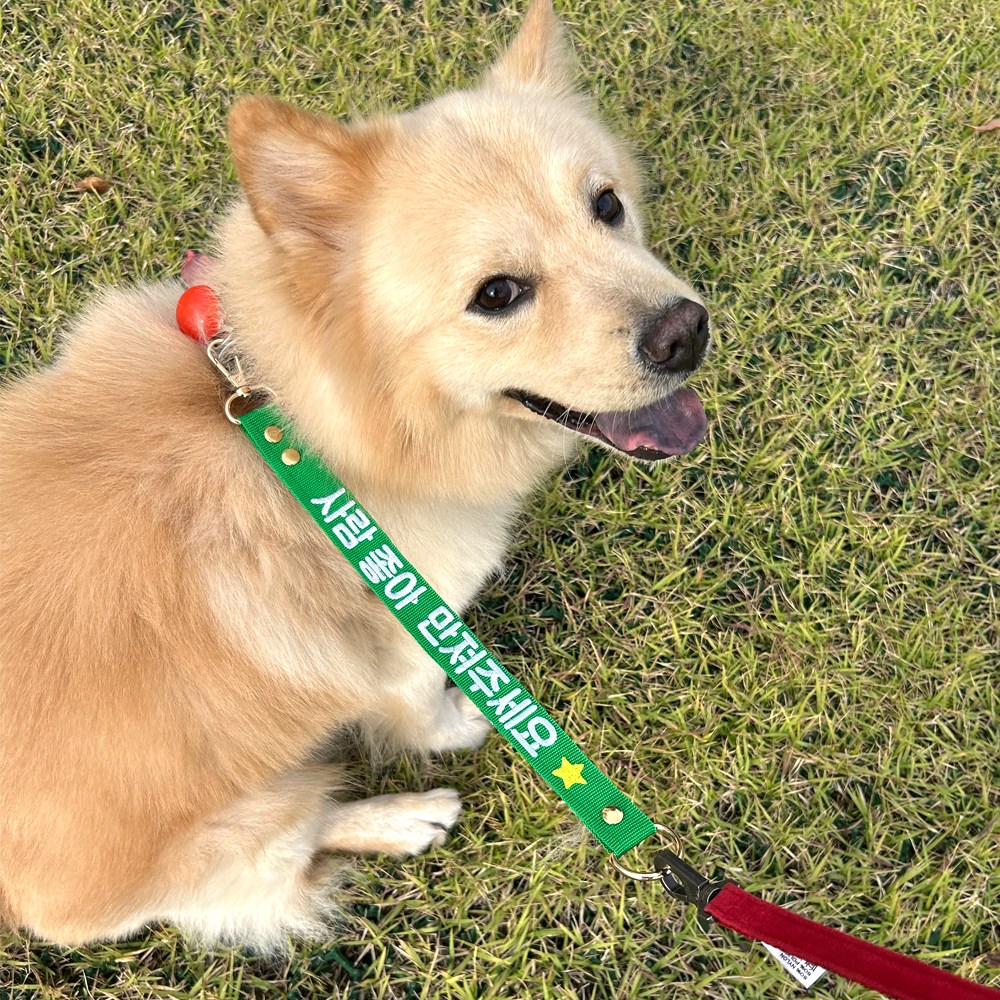 프로샷 강아지 자수 네임텍 펫티켓 중간 리드줄 만지면 물어요 금지 튼튼고리 강아지 네임텍, 1개, 노랑 11,900원